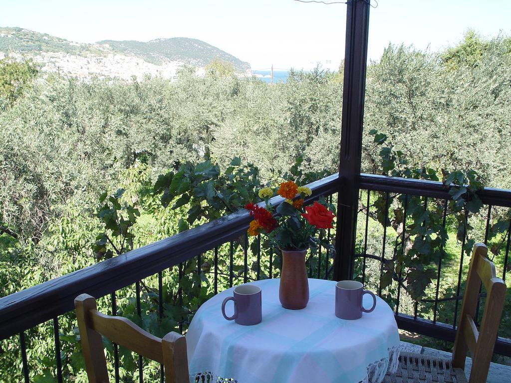 Platanakia Daire Skopelos Oda fotoğraf